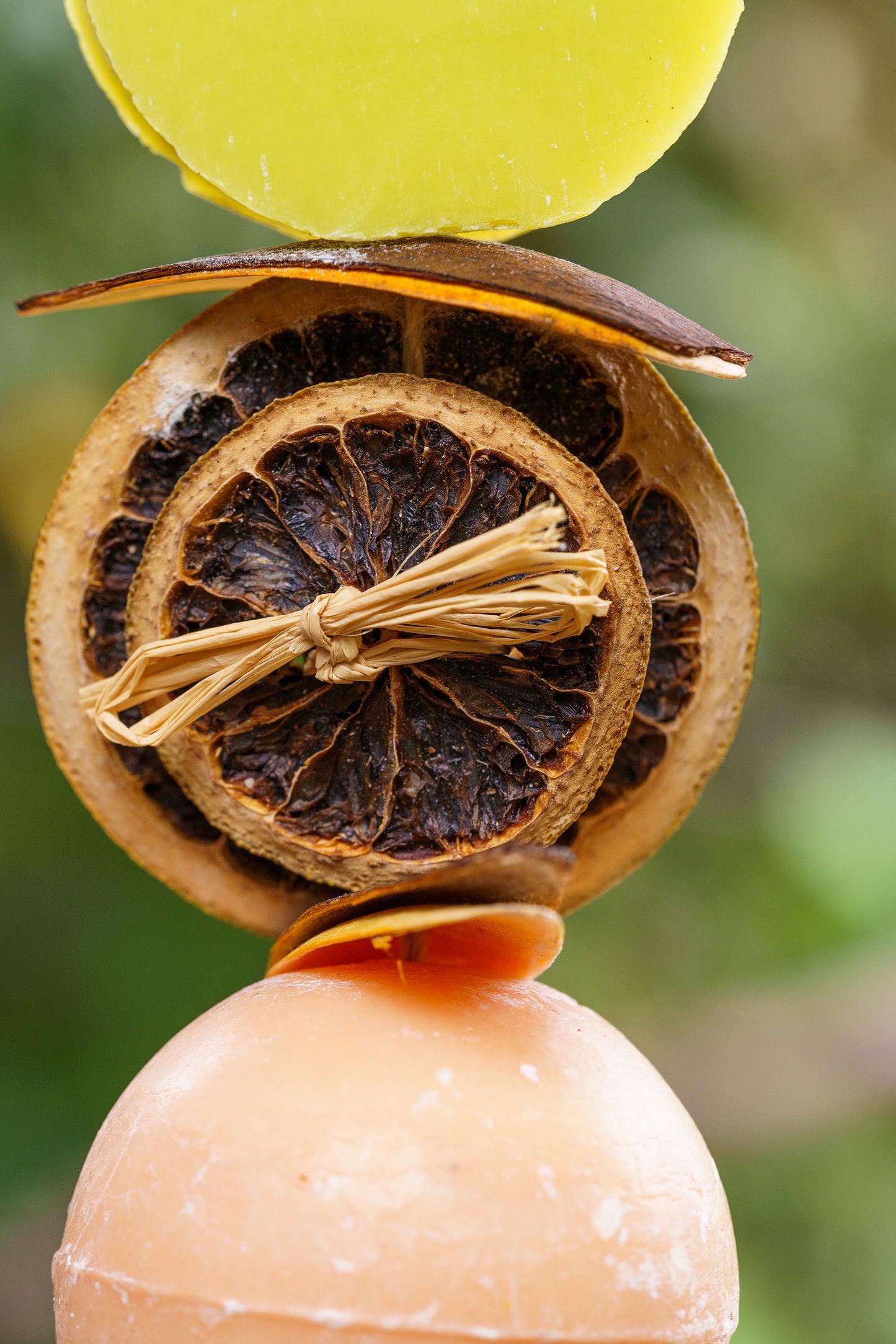 GUIRNALDA DE POMELO Y LIMÓN